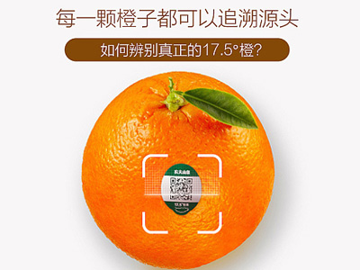 农夫山泉17.5°橙|农产品溯源到底要先解决谁的痛点？